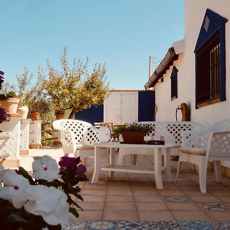 Villa Immersa In Oliveto Vista Mare Шакка Екстер'єр фото