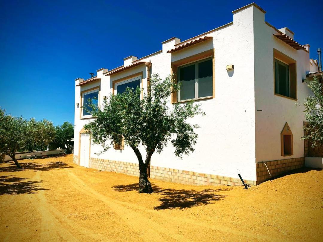 Villa Immersa In Oliveto Vista Mare Шакка Екстер'єр фото
