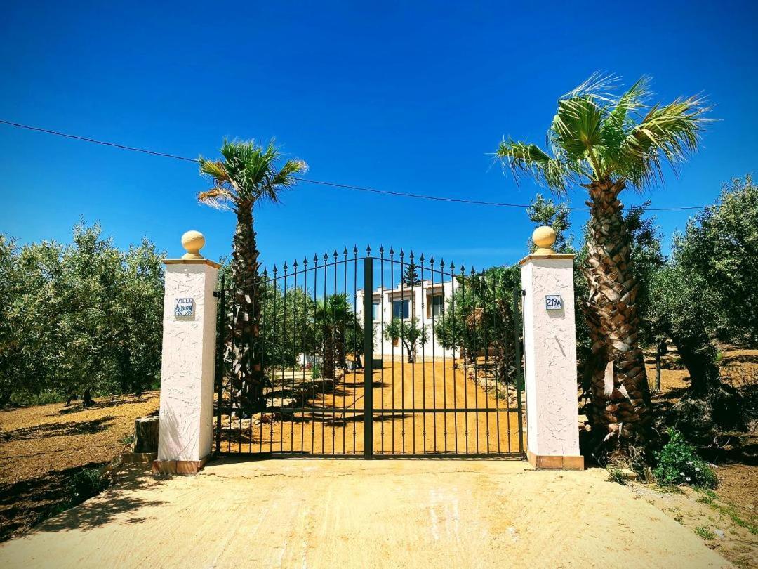 Villa Immersa In Oliveto Vista Mare Шакка Екстер'єр фото