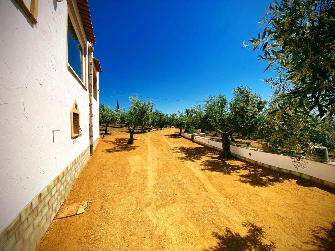 Villa Immersa In Oliveto Vista Mare Шакка Екстер'єр фото