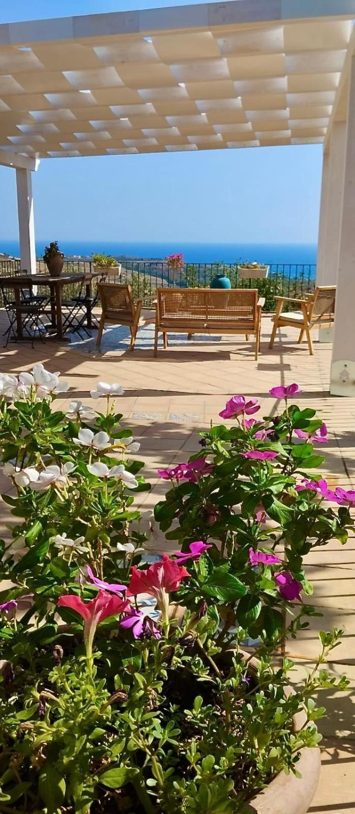 Villa Immersa In Oliveto Vista Mare Шакка Екстер'єр фото