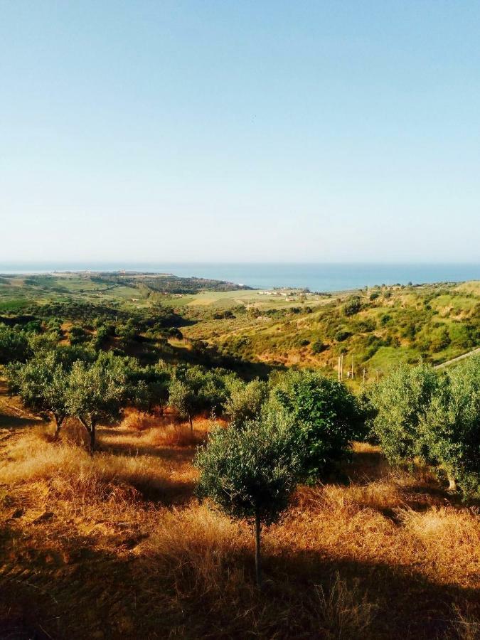 Villa Immersa In Oliveto Vista Mare Шакка Екстер'єр фото